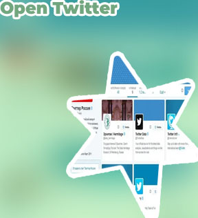 Buy twitter profile click