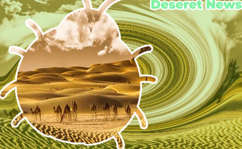 Desert news